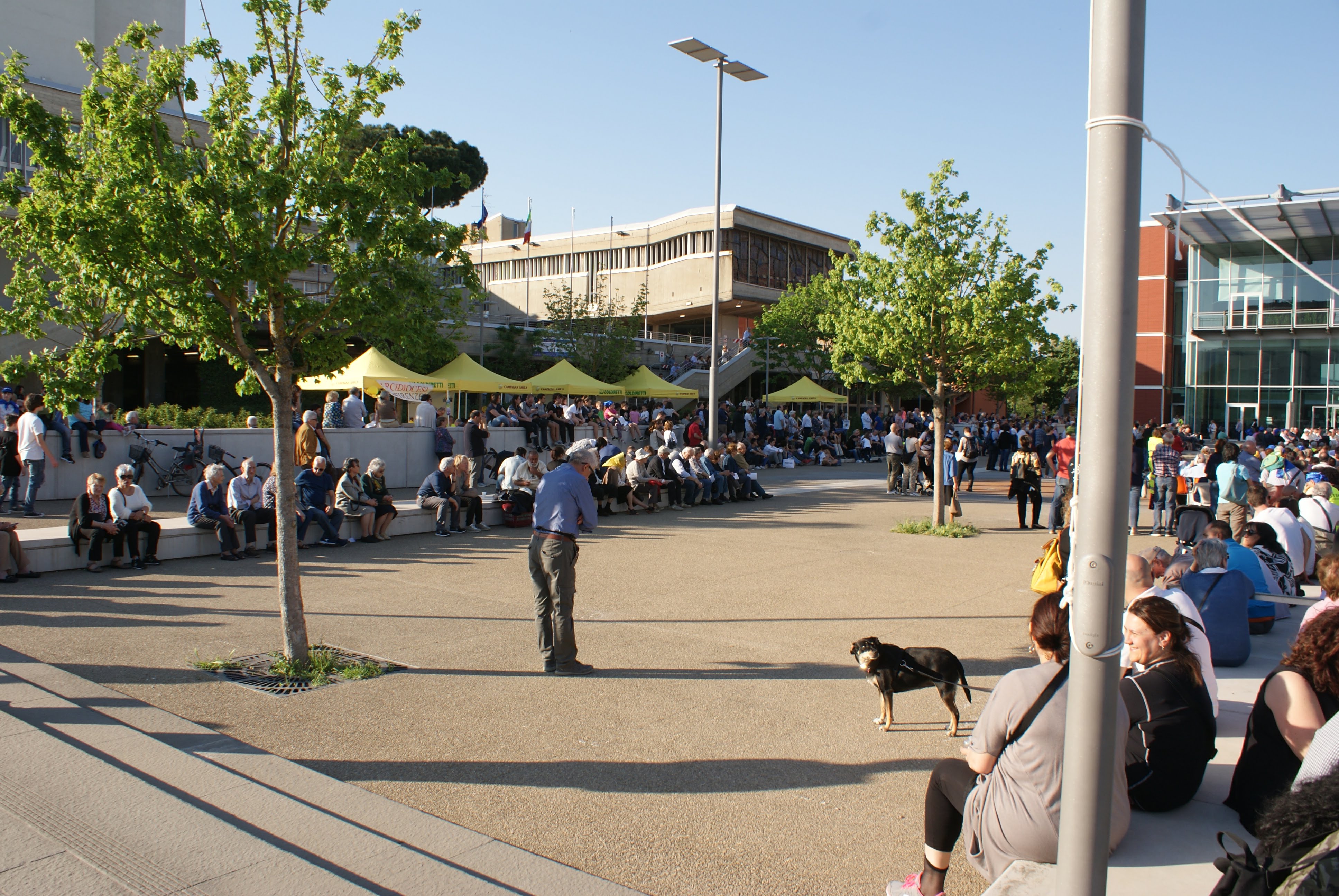 SONY DSC