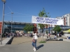 DSC00527